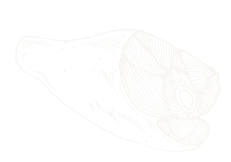 product shape